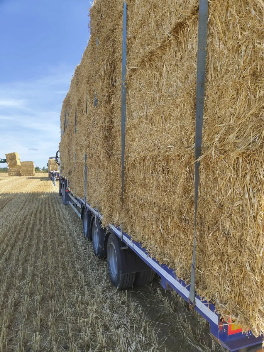 2025 straw delivered - Image 3