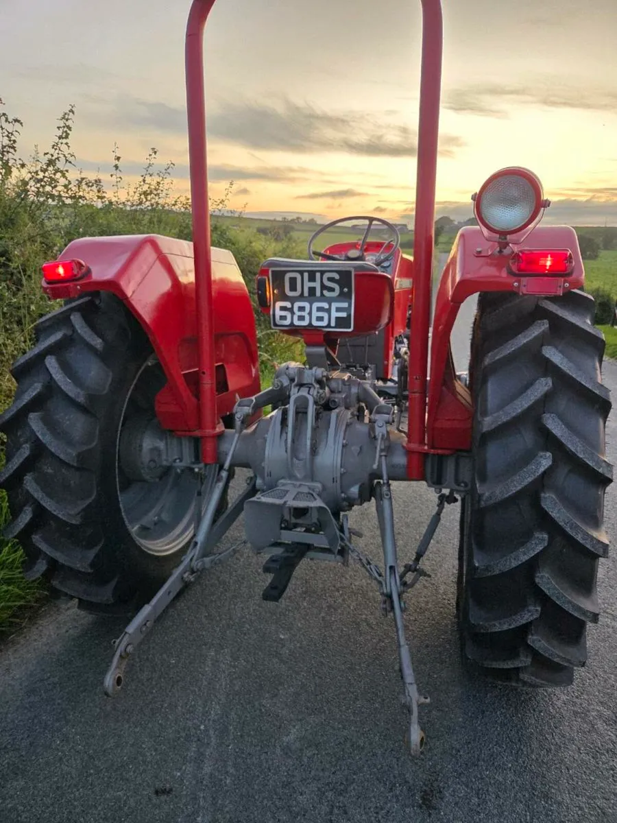 Massey ferguson 165 - Image 2