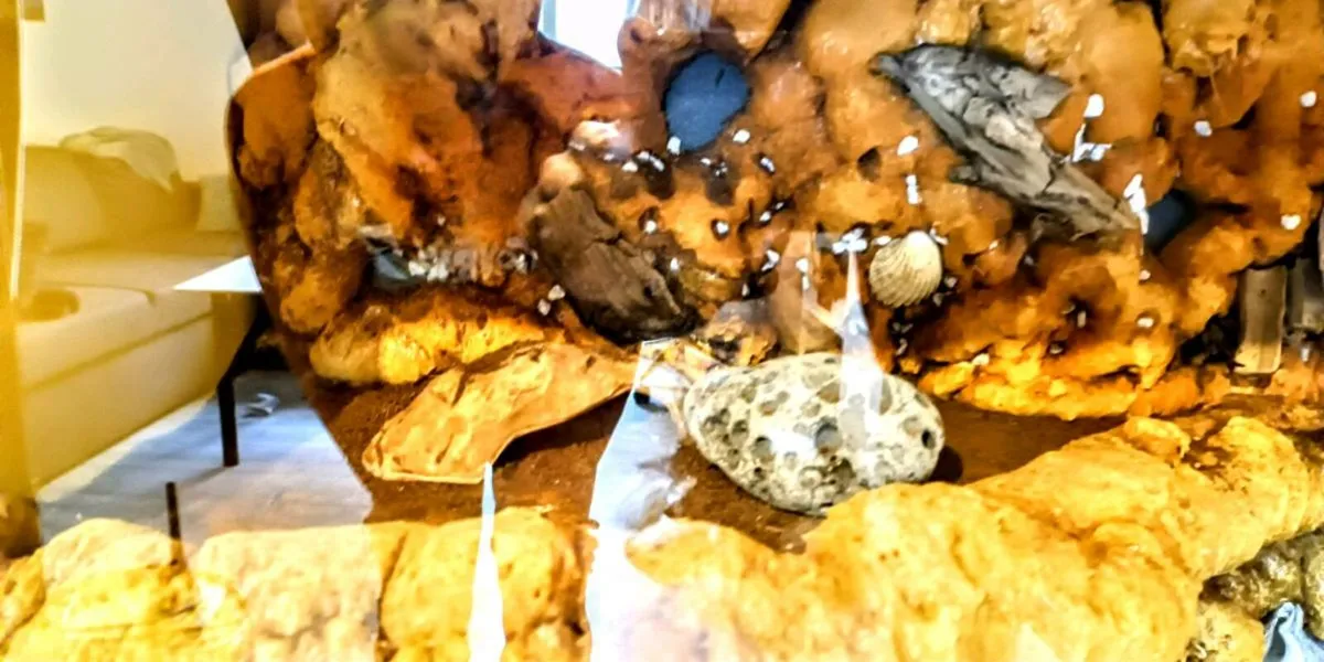 Vivarium enclosure. Heavy duty - Image 1
