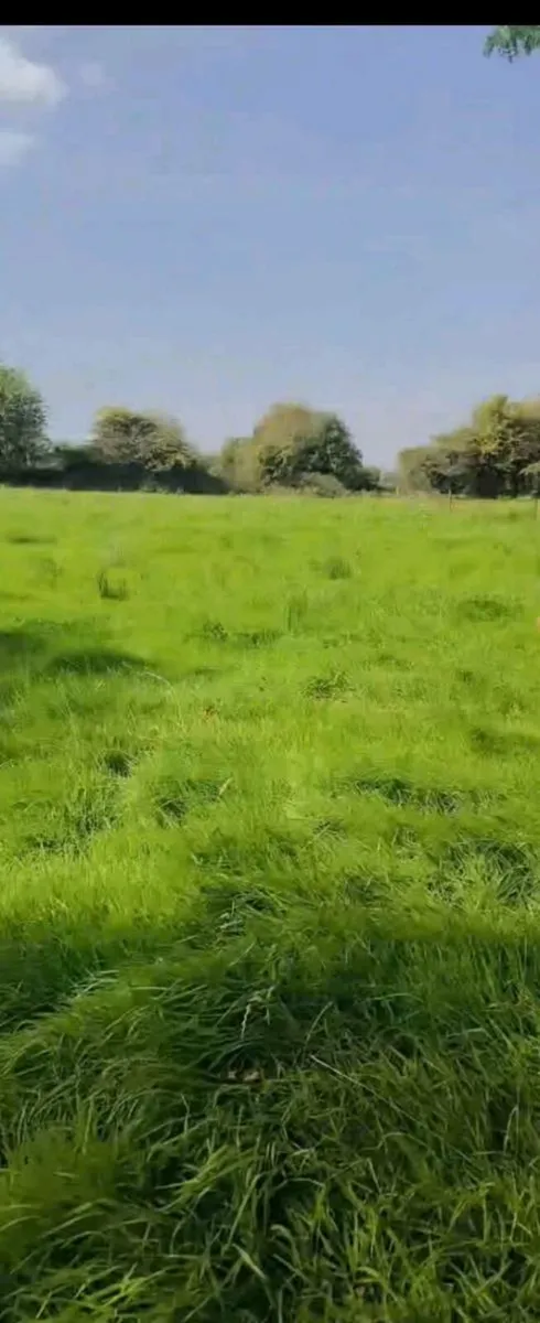 Meadow to let - Image 1