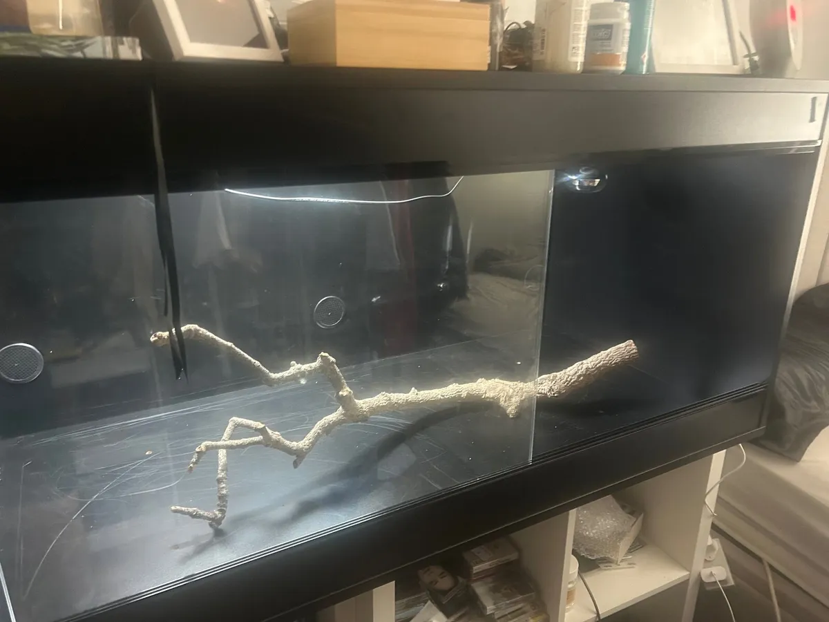 terrarium - Image 3