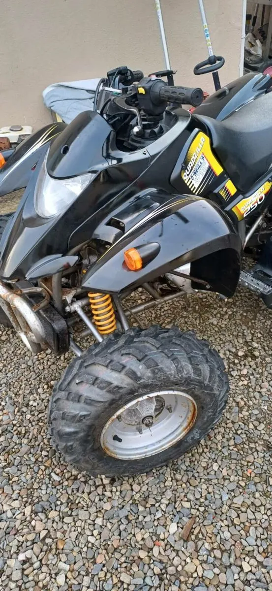 Quads - Image 1