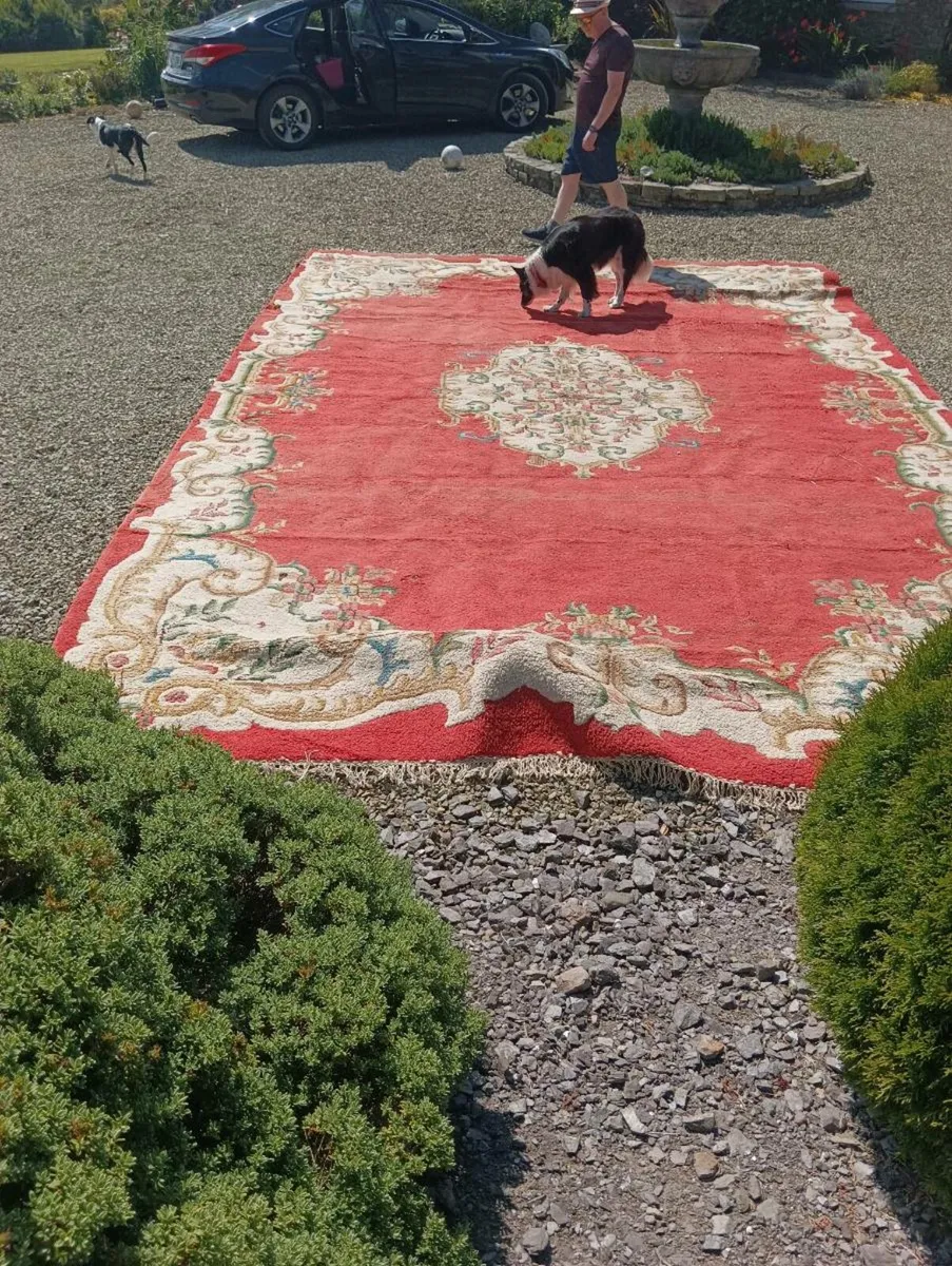 Large rug 11ft by 18 ft,quick sale - Image 4