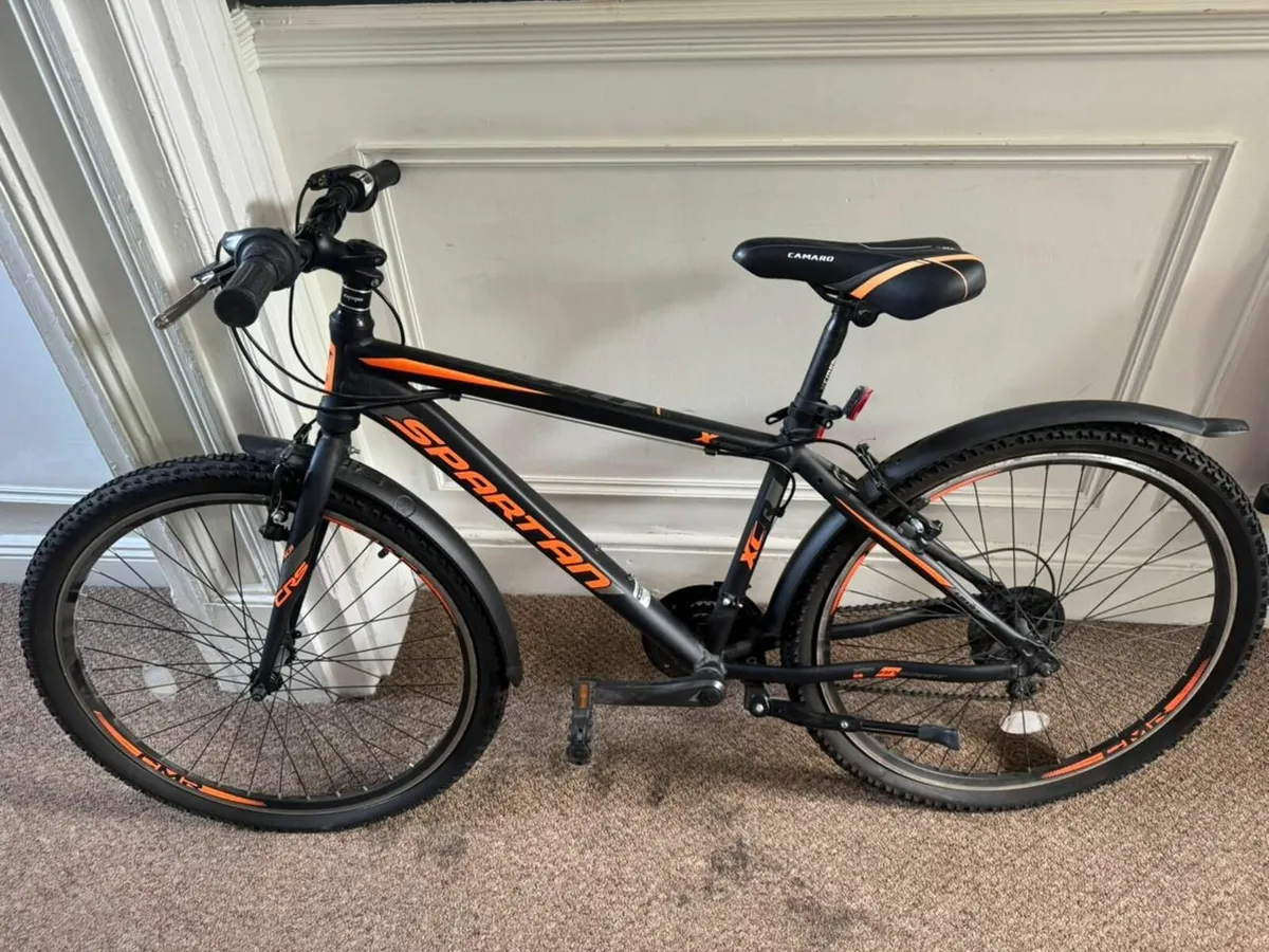 Bicycle - Image 1