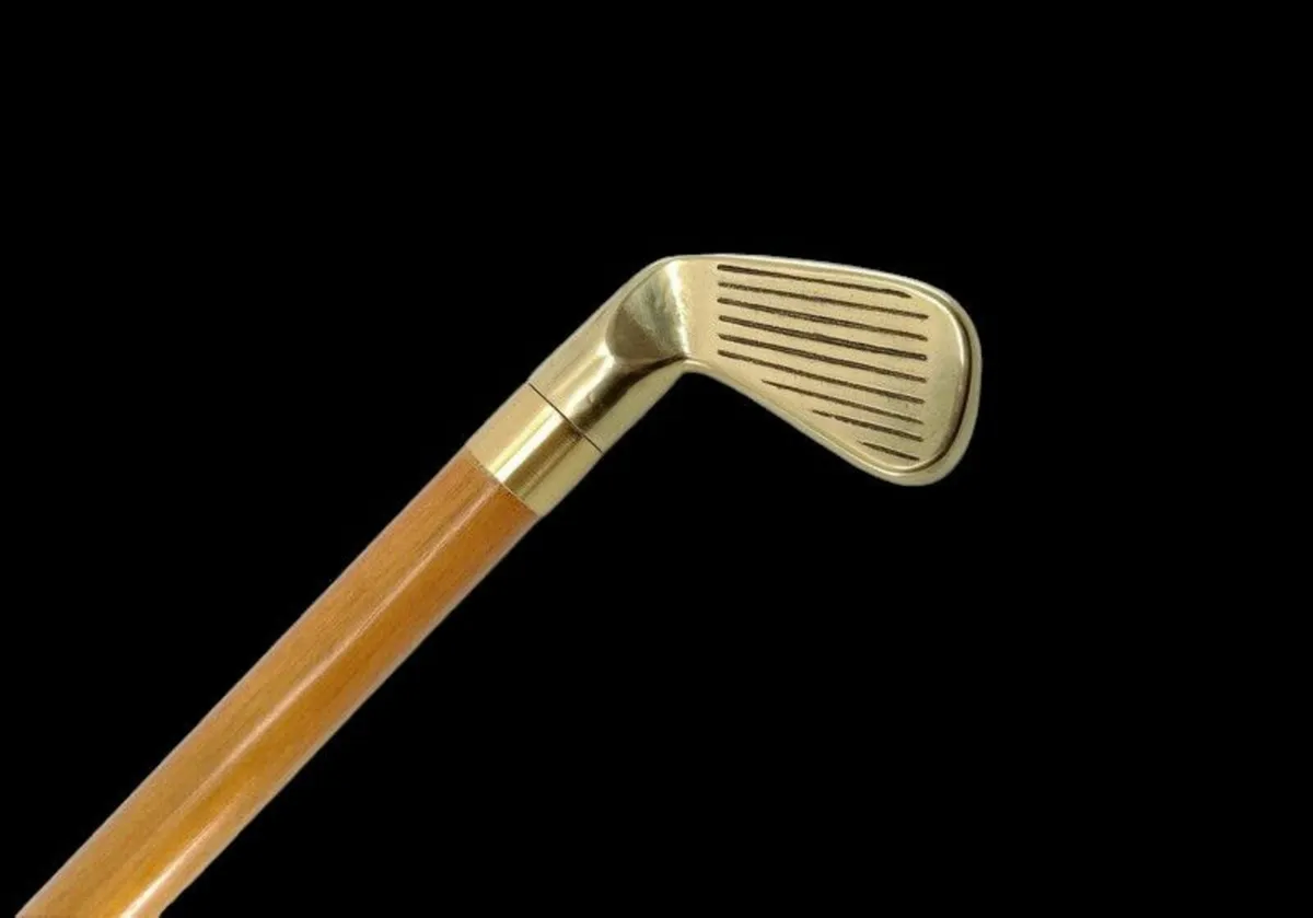 Vintage Drinking/Walking Stick - Image 1