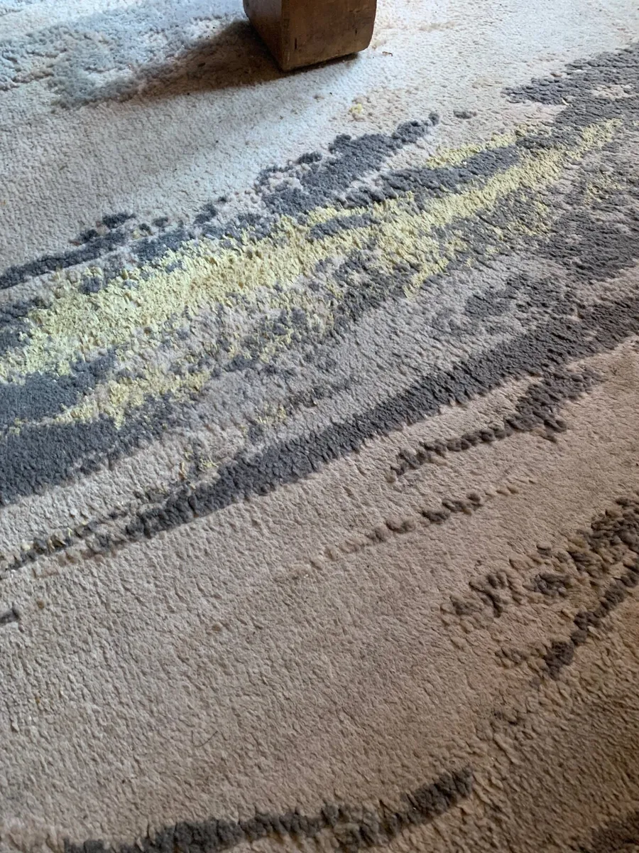 Rug - Image 1