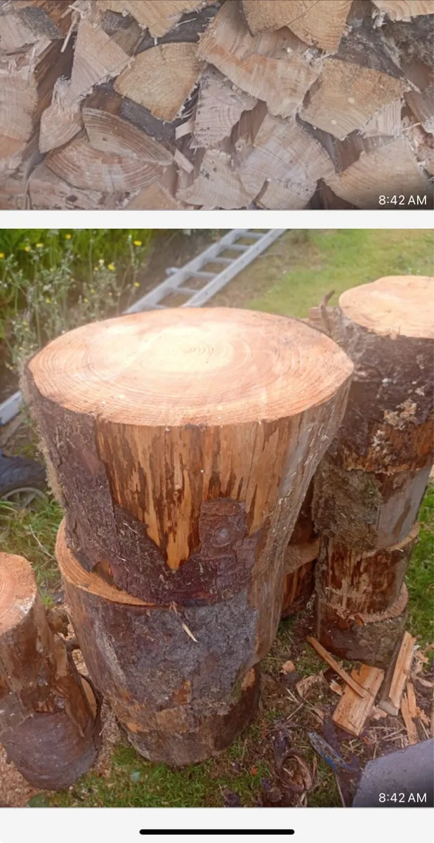 Firewood - Image 1