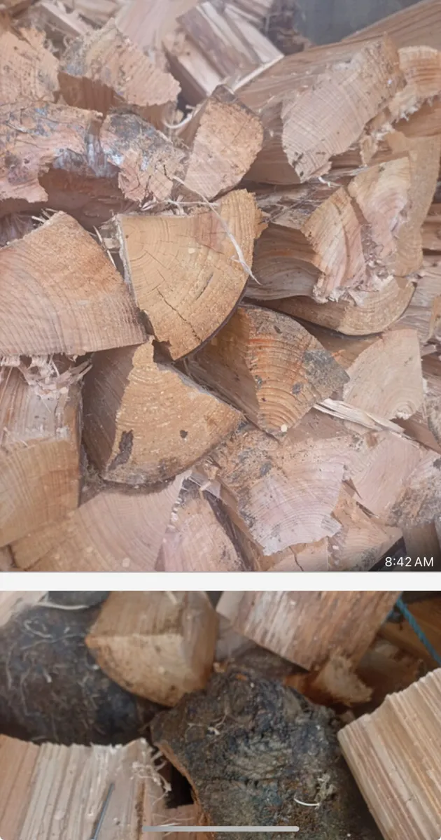 Firewood - Image 2