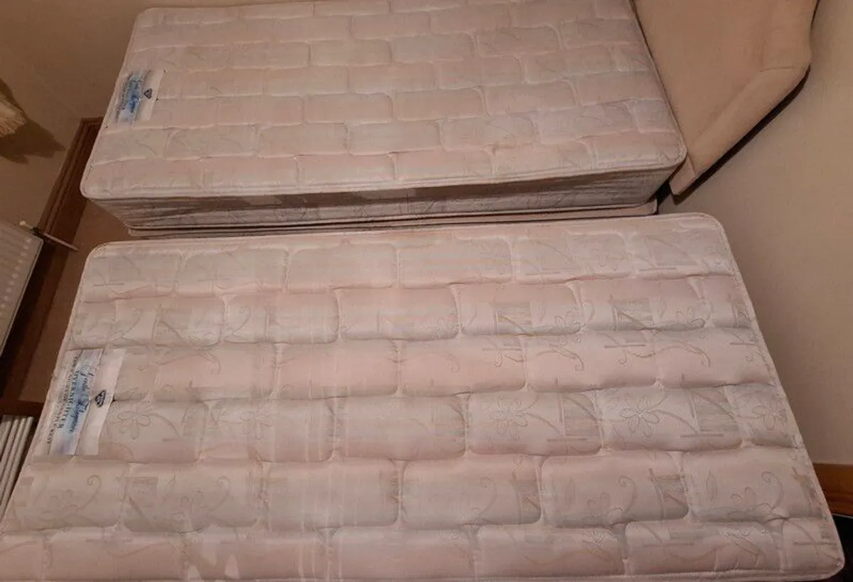 Single/Double divan beds for friends or siblings - Image 1