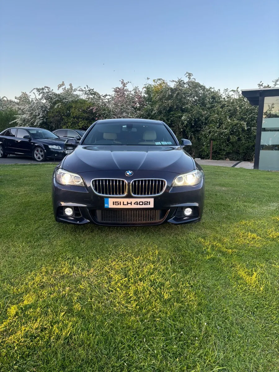 BMW 518D MSPORT - Image 2