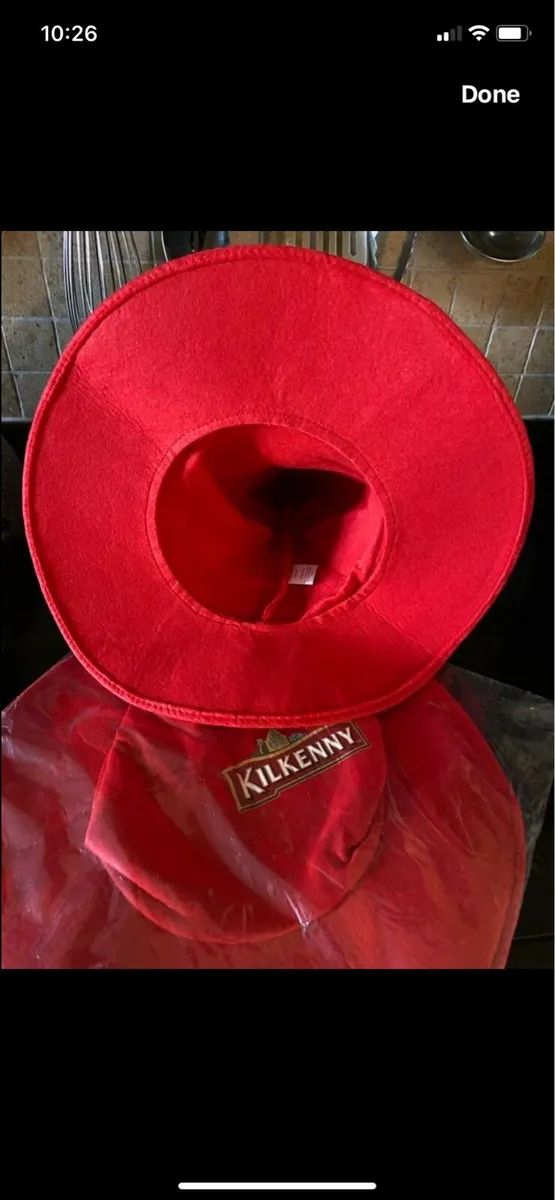 Kilkenny Beer Party/ Novelty Hat - Image 3