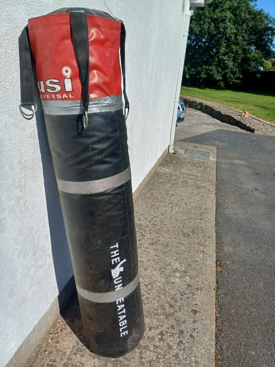 Boxing punch bag - Image 1