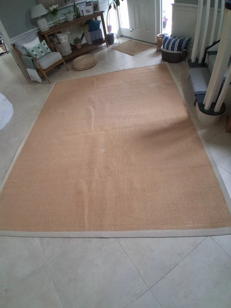 Large Sisal Rug - Image 1