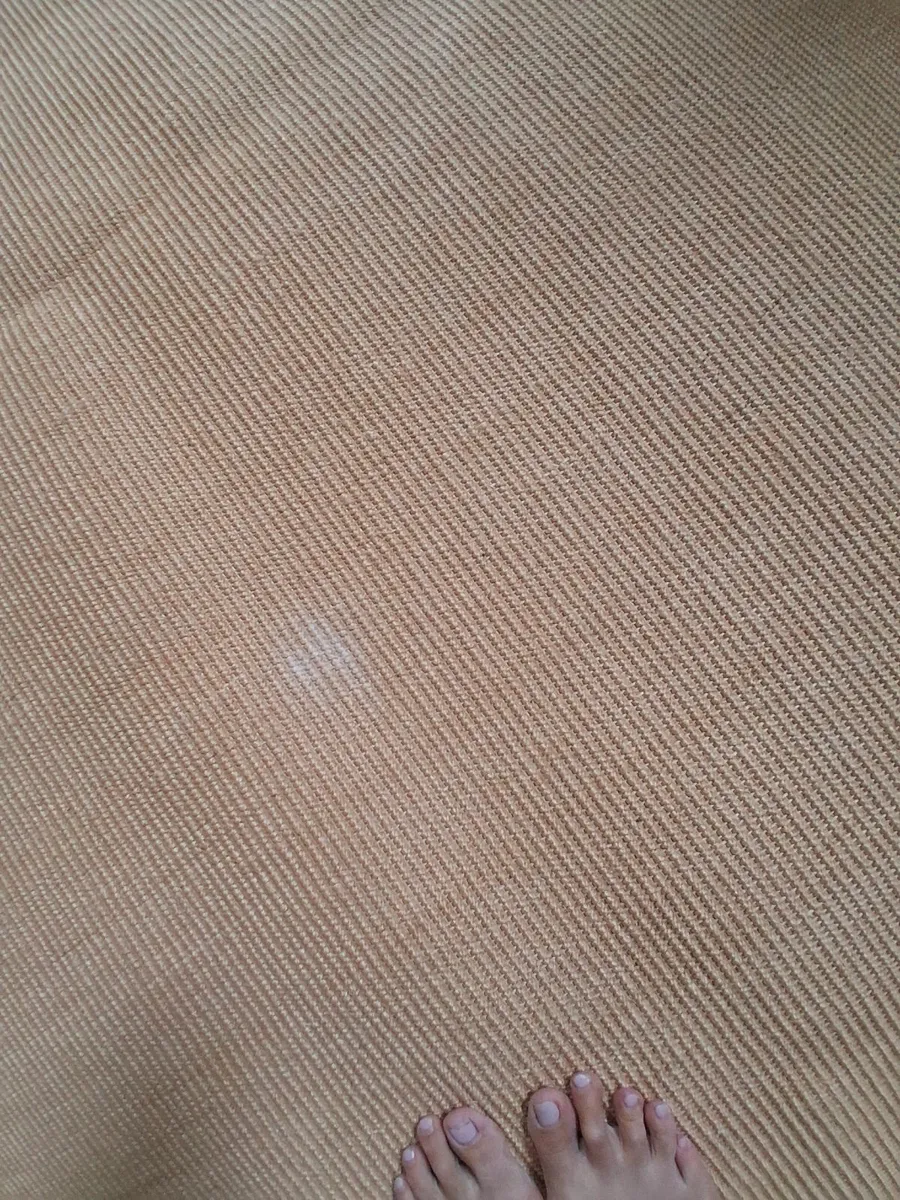 Large Sisal Rug - Image 3