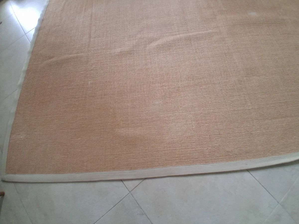 Large Sisal Rug - Image 4