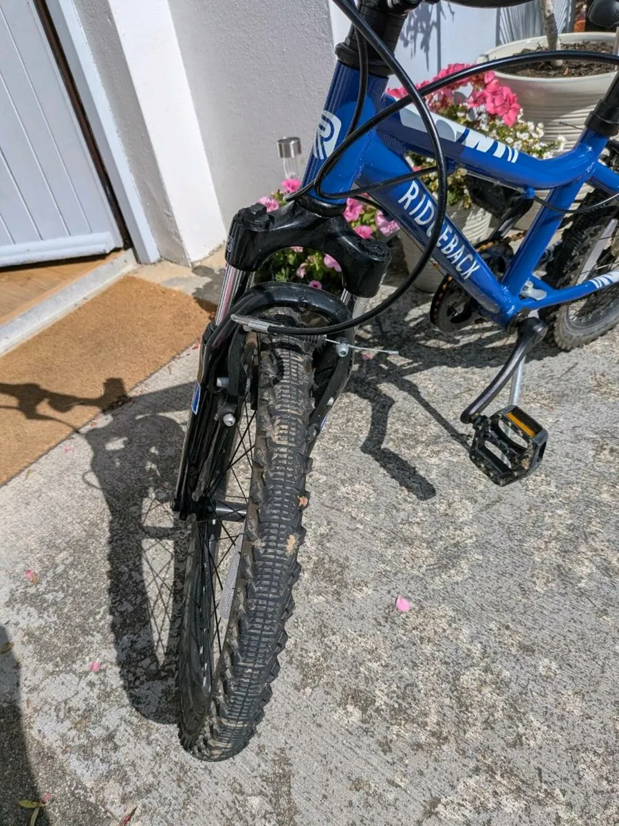 Kids 20" Bike Ridgeback MX20 - Image 2