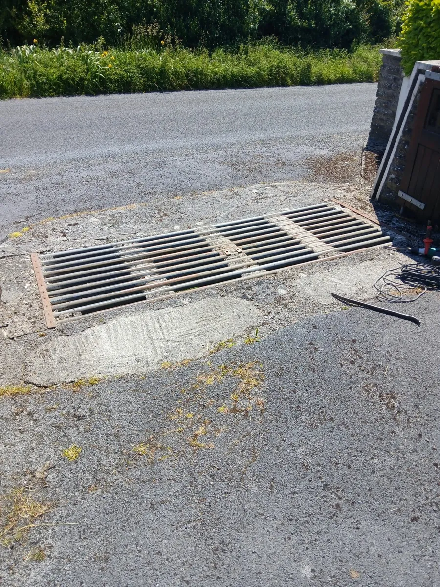 Cattle grid - Image 1