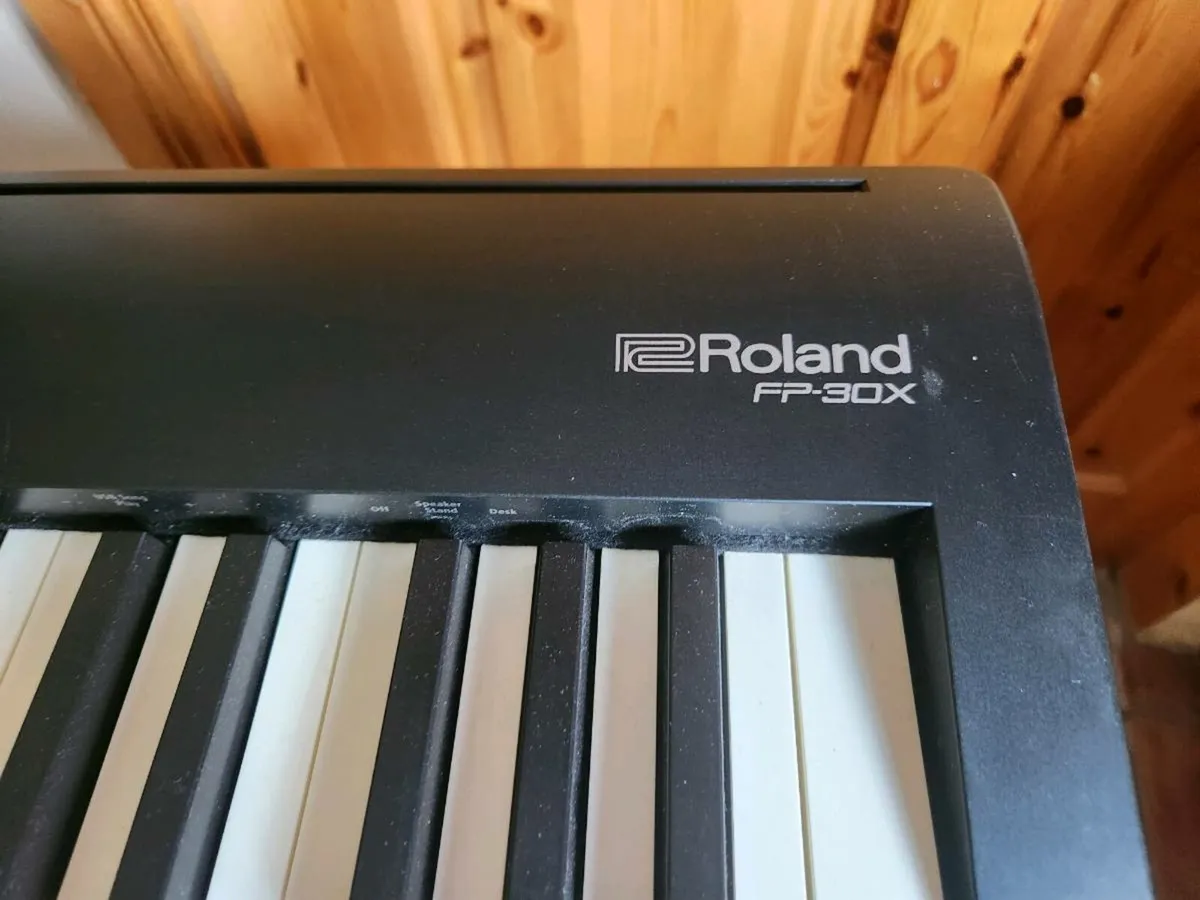 Roland FP30X Digital Piano - Image 3
