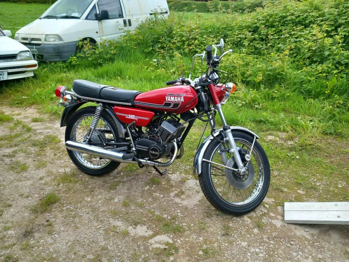 Collection of bikes - Image 1