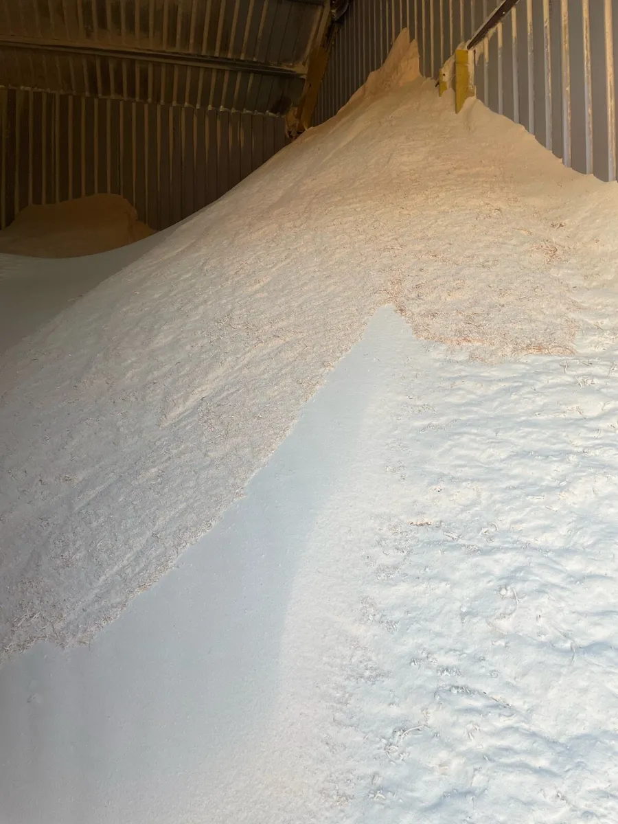 **Large stock of clean *Saw dust ** - Image 1