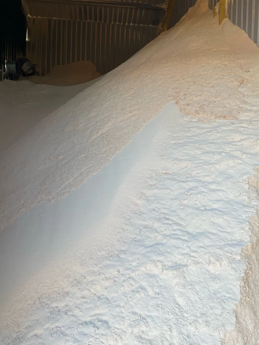 **Large stock of clean *Saw dust ** - Image 2