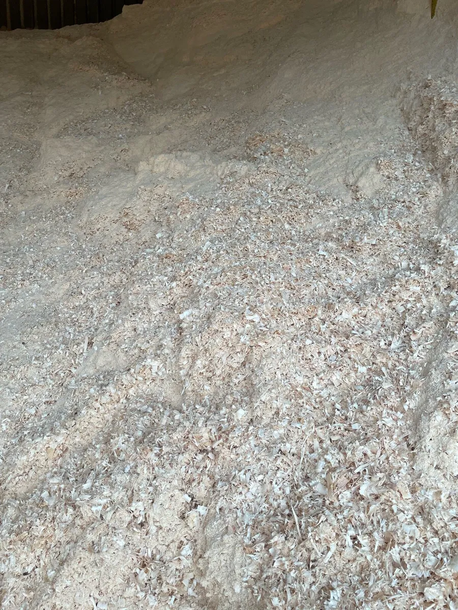 **Large stock of clean *Saw dust ** - Image 4