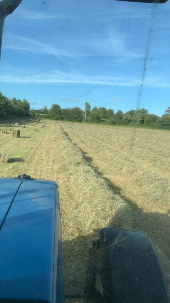 Square and round bales of hay - Image 4