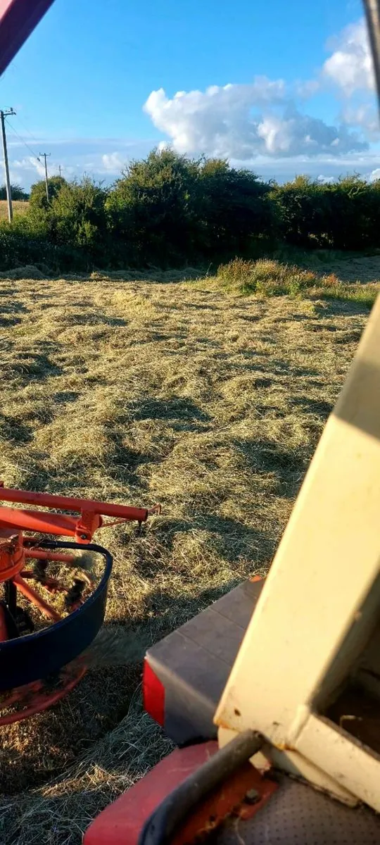 Hay Square bales - Image 3