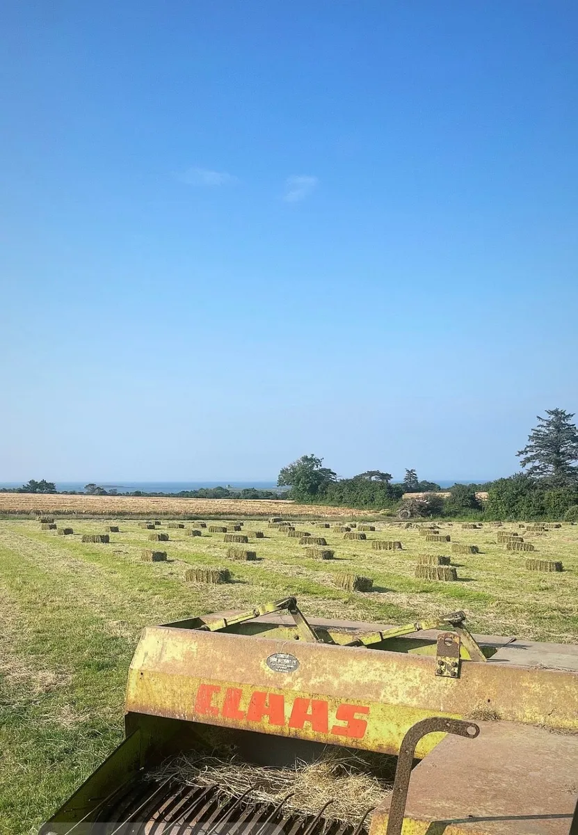 Small Bales Hay