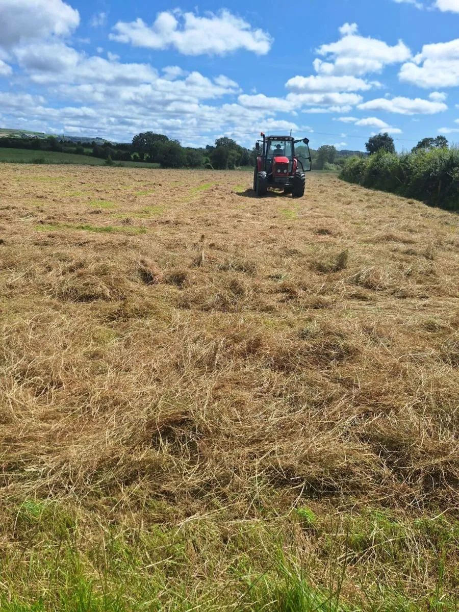 Small square bales of hay - Image 2