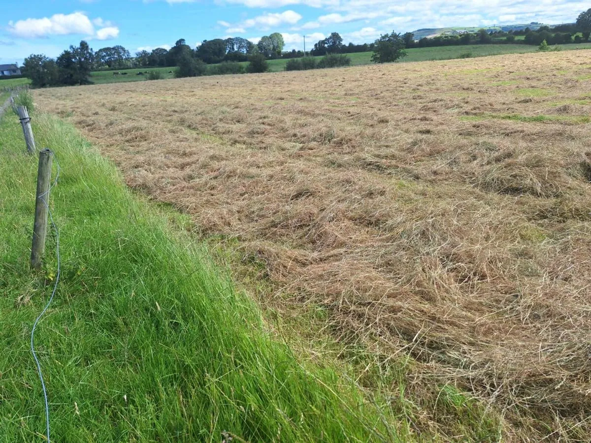 Small square bales of hay - Image 3