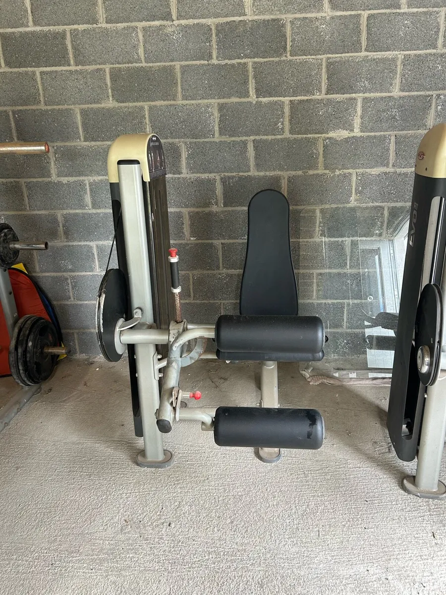 Panatta Machines x2 - Image 1