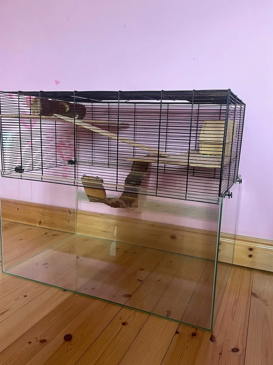 Gerbil Cage - Image 1