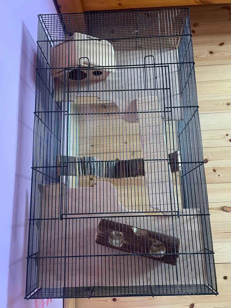 Gerbil Cage - Image 2