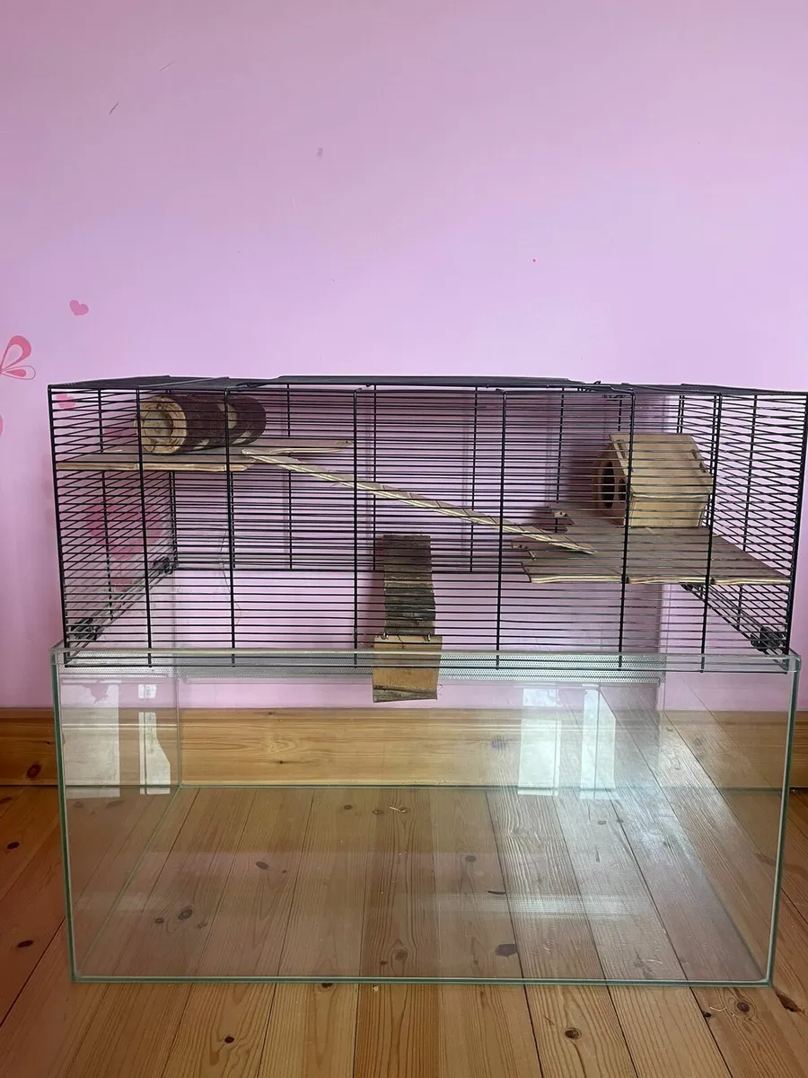 Gerbil Cage - Image 3