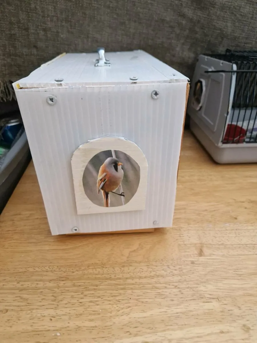 One  bird transport cage - Image 3