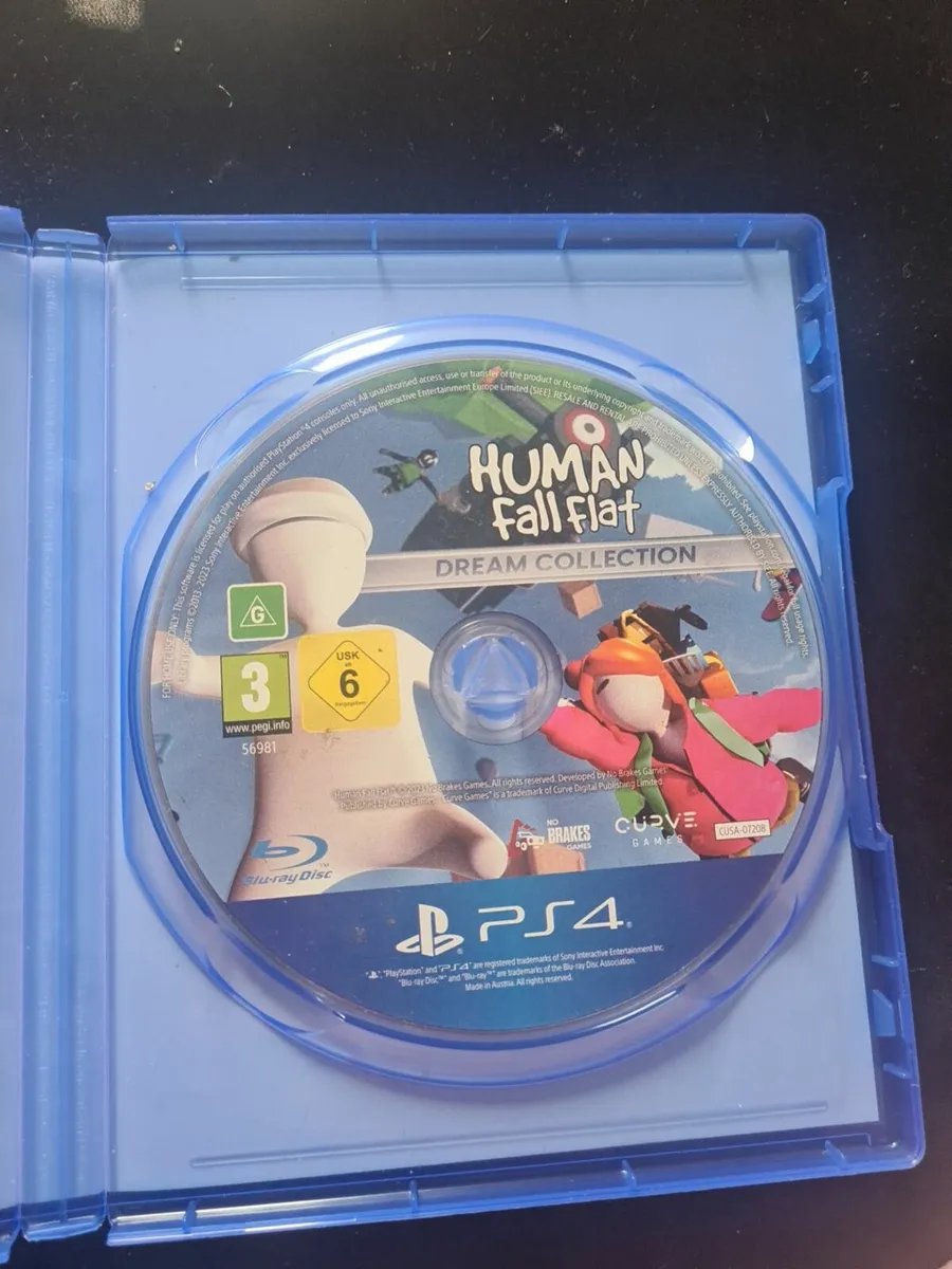 Human fall flat - Image 3