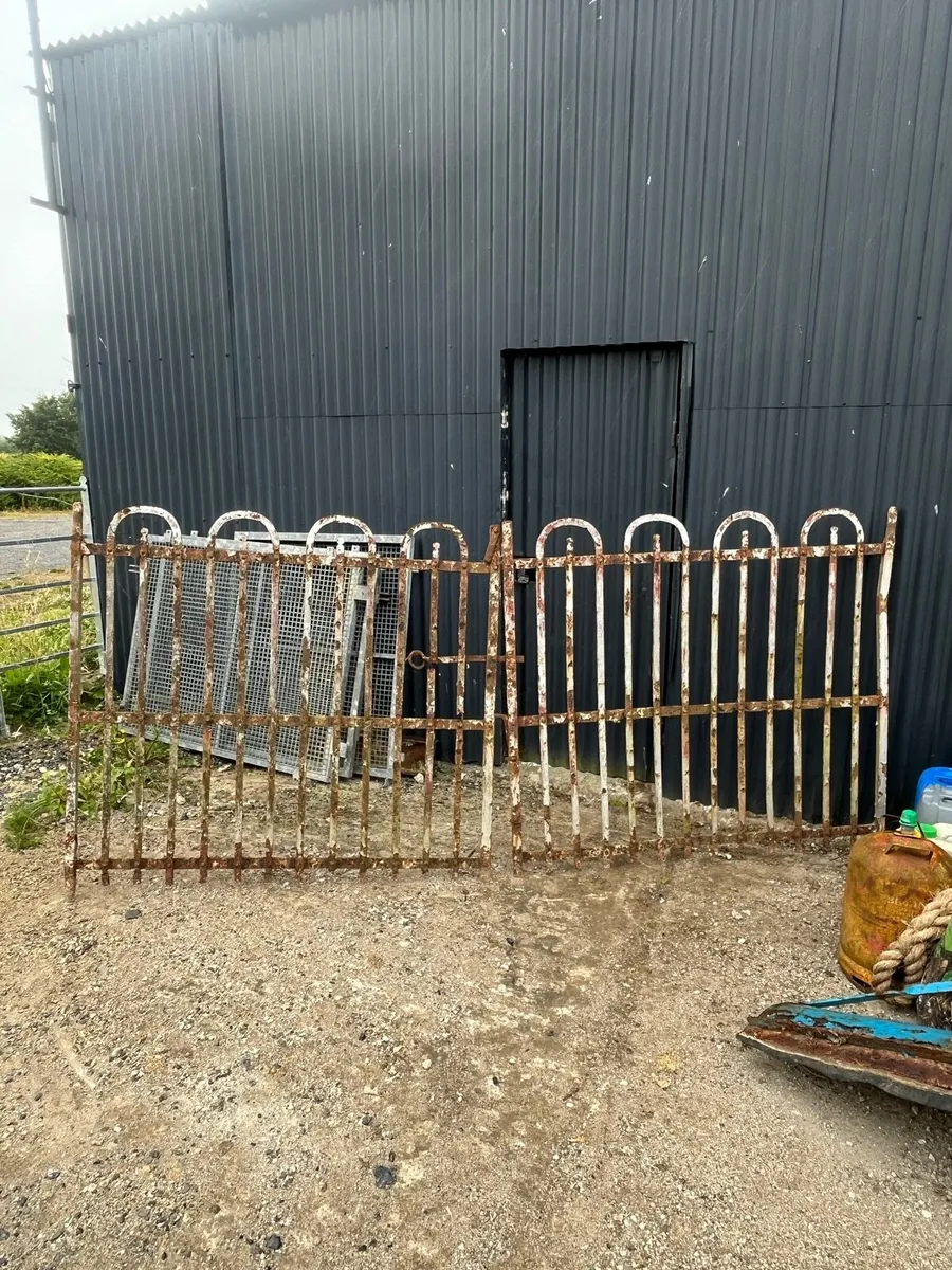 Cast Iron Gates - Image 1
