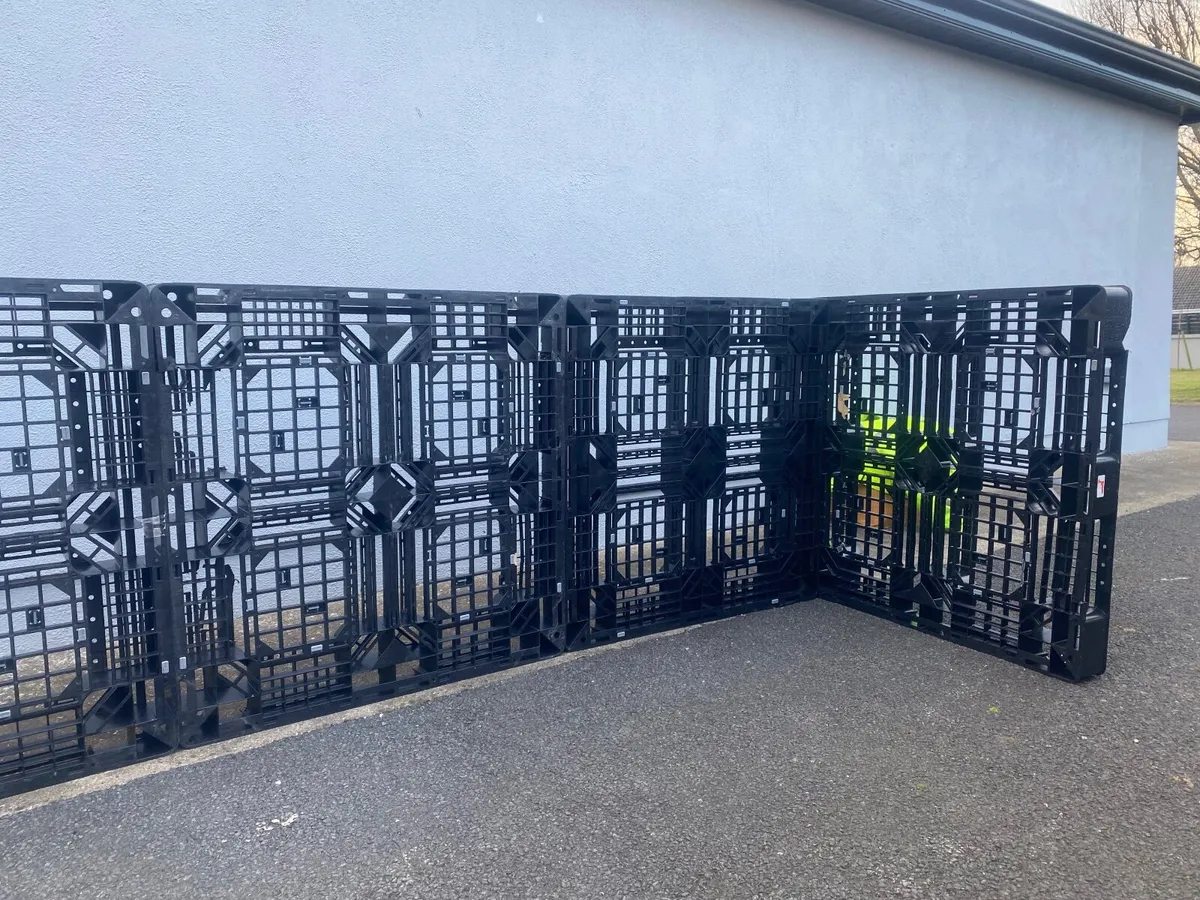Plastic pallets - Image 1