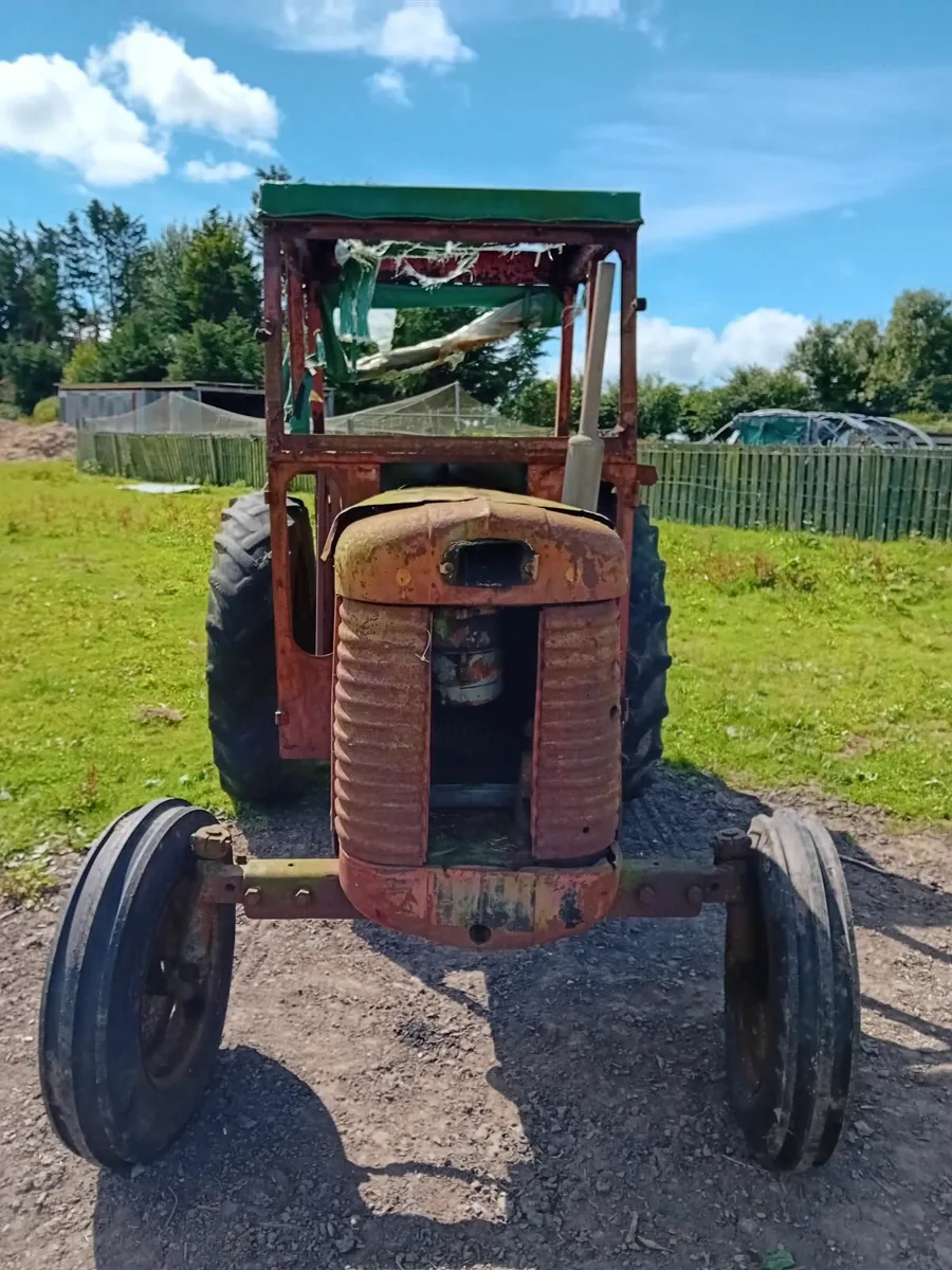 Vintage tractors - Image 1