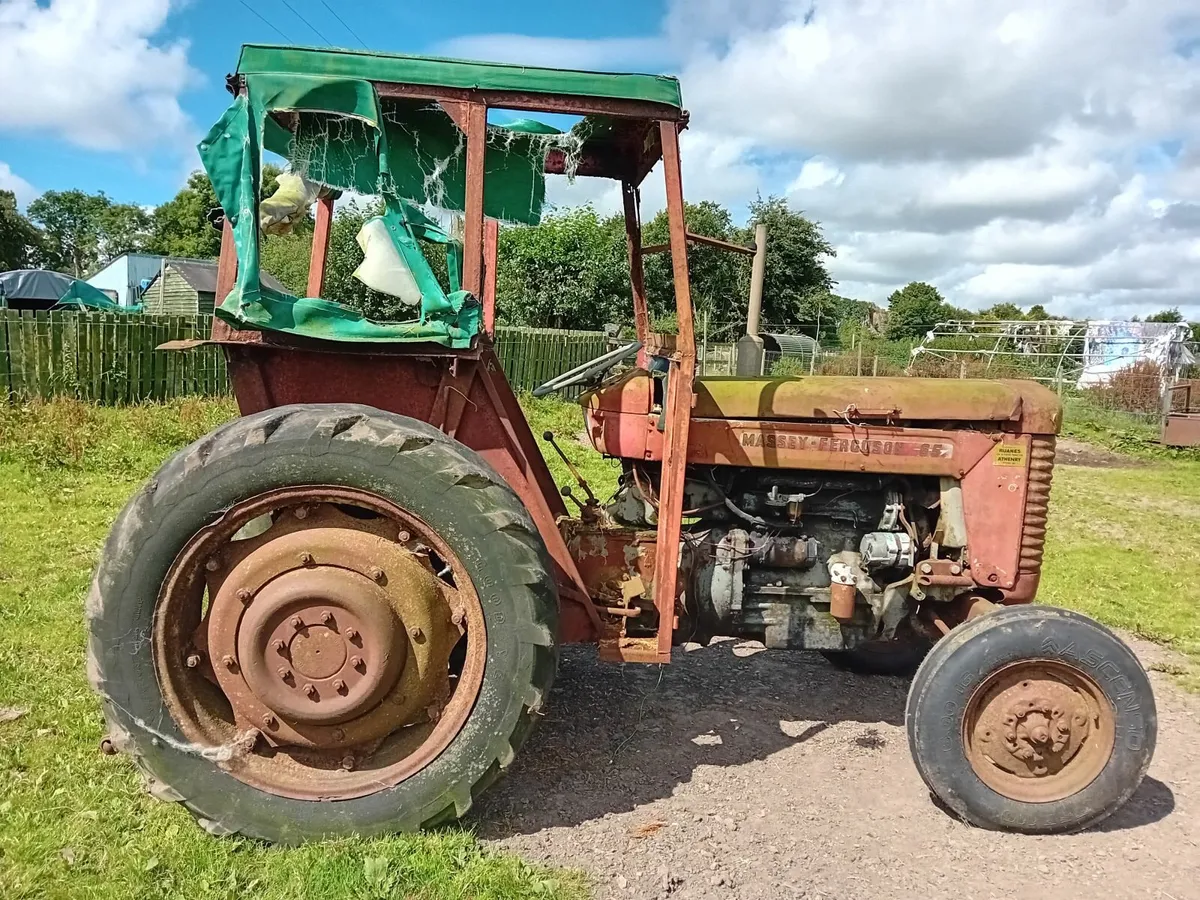 Vintage tractors - Image 2