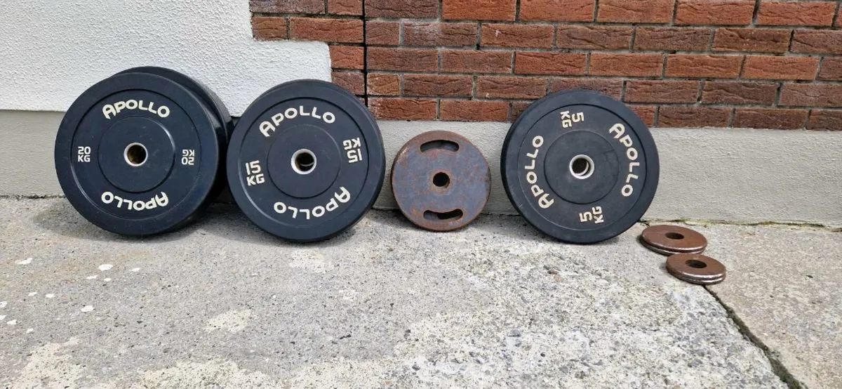 Contents of Home Gym | Rack Weights and More - Image 4