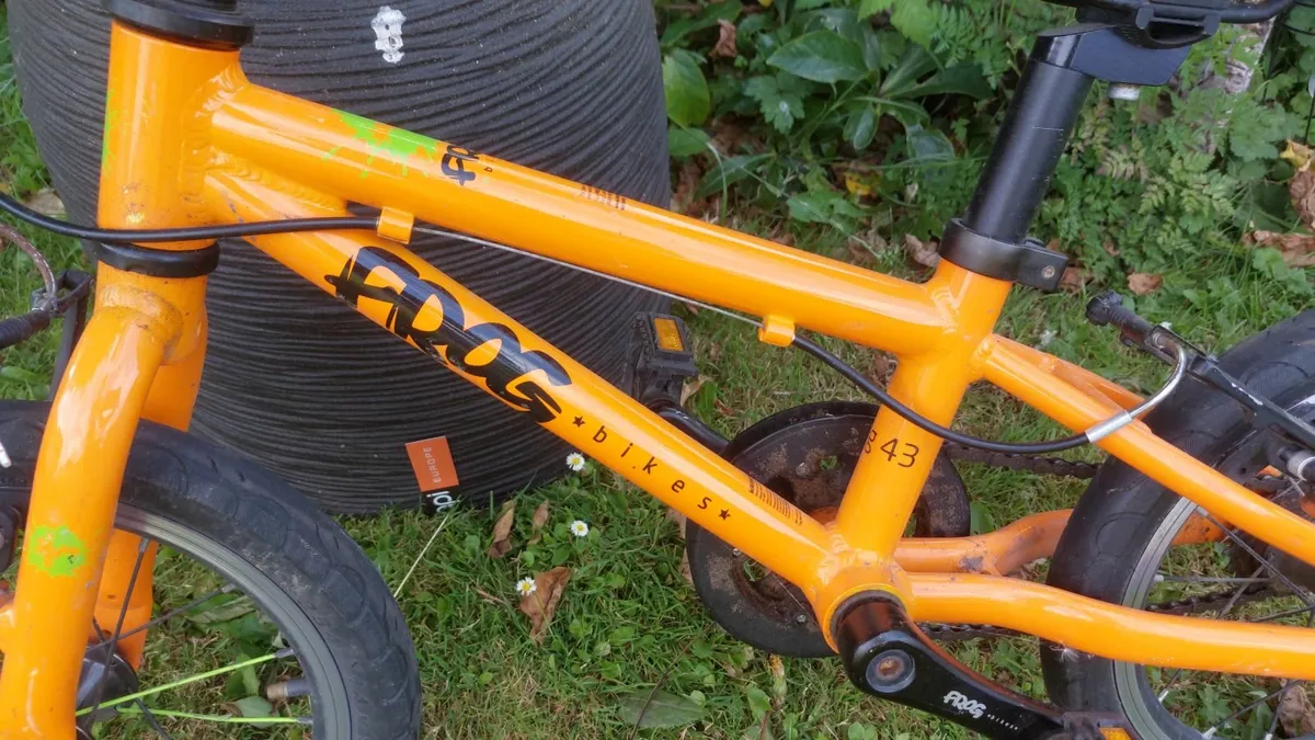 Frog bike - Image 2
