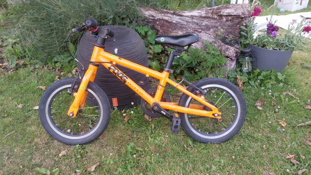 Frog bike - Image 1