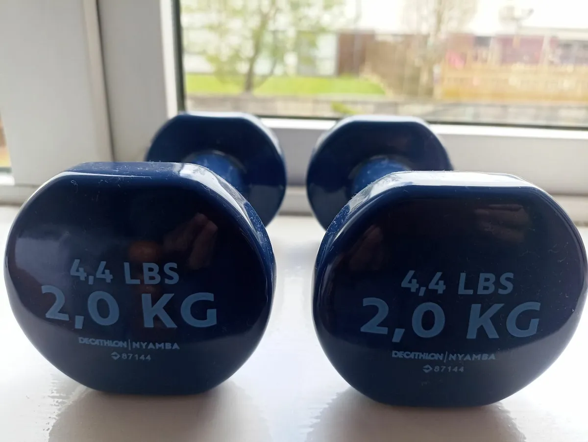 Dumbbells - Image 2