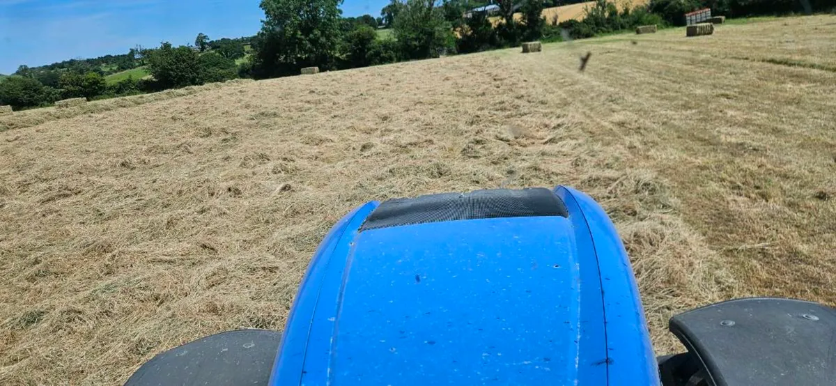 Large Square bales of hay - Image 2