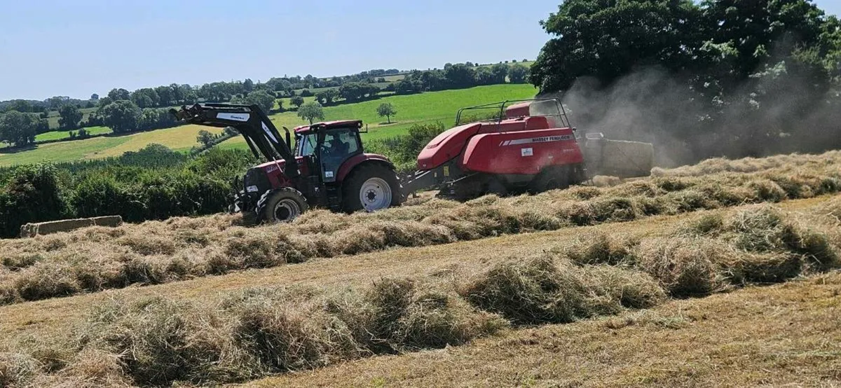 Large Square bales of hay - Image 4