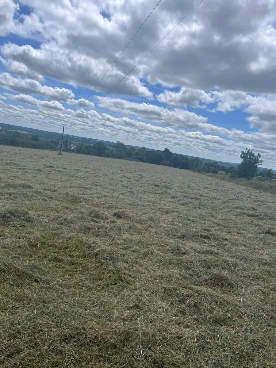50 bales hay for sale