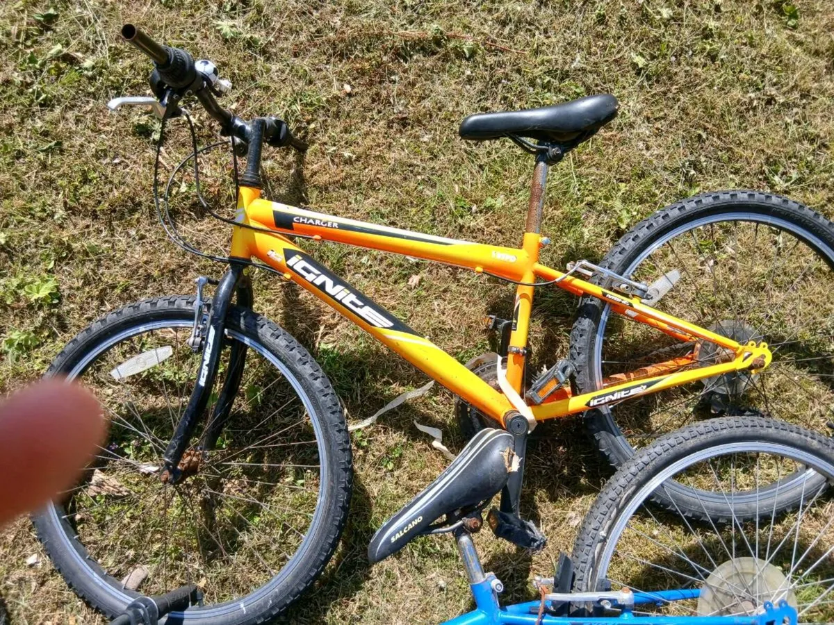 Bike - Image 2