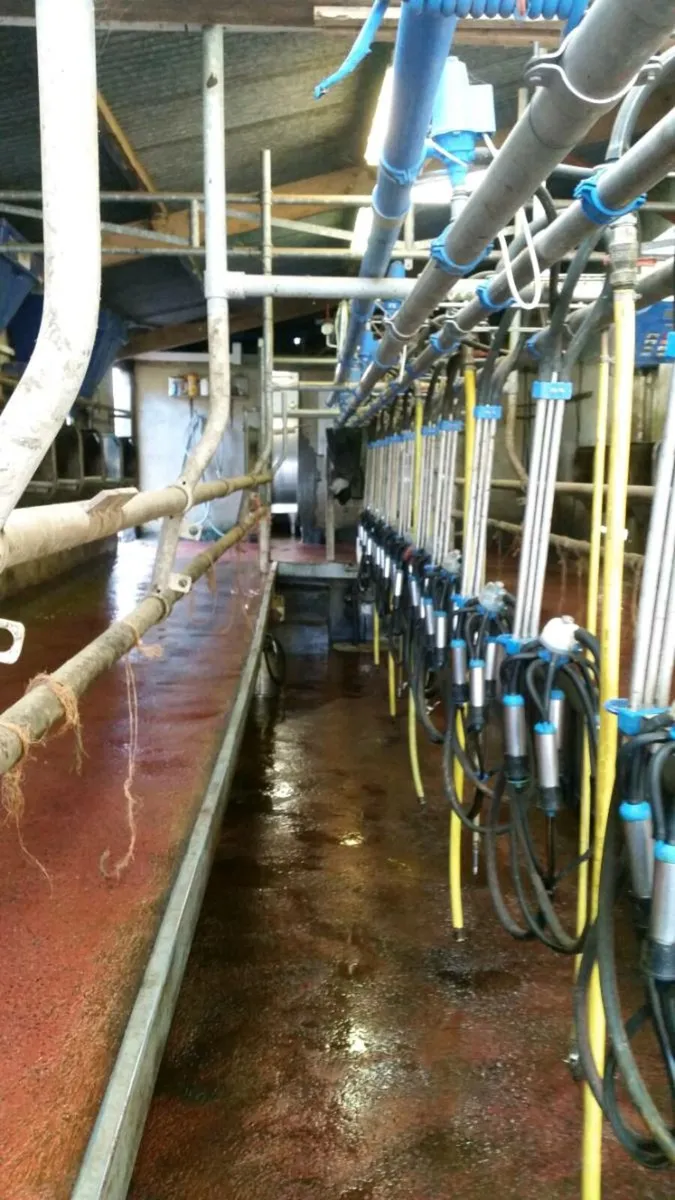 Milking parlour - Image 1